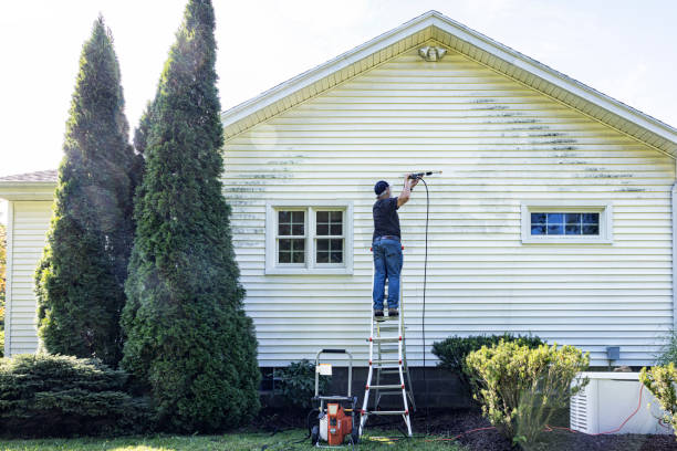 Best Deck and Patio Pressure Washing in Falmouth, KY
